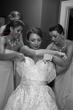 IMG_0378