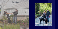 005_resize