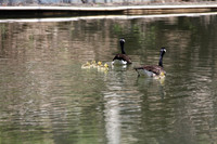 IMG_4848